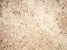 Tarzhan Beige Cremera