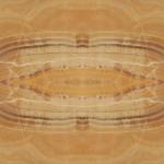 Honey Onyx Book Macch